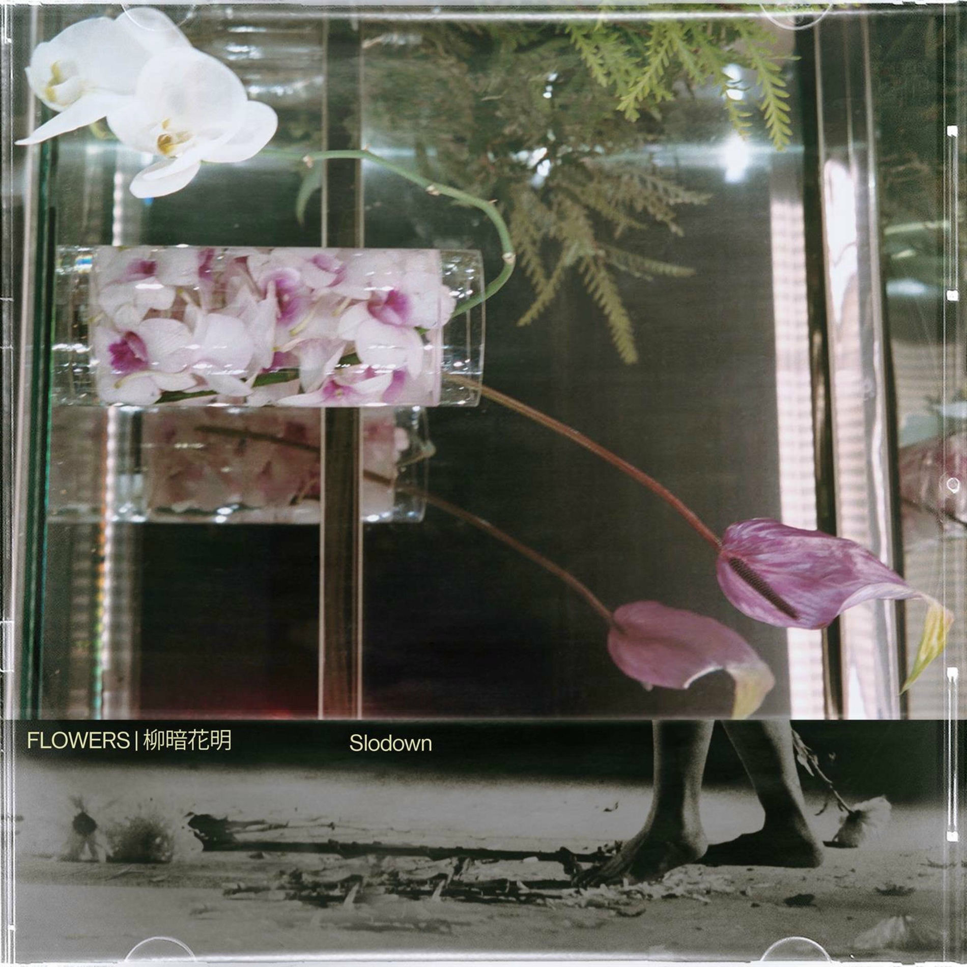 Album cover of FLOWERS
