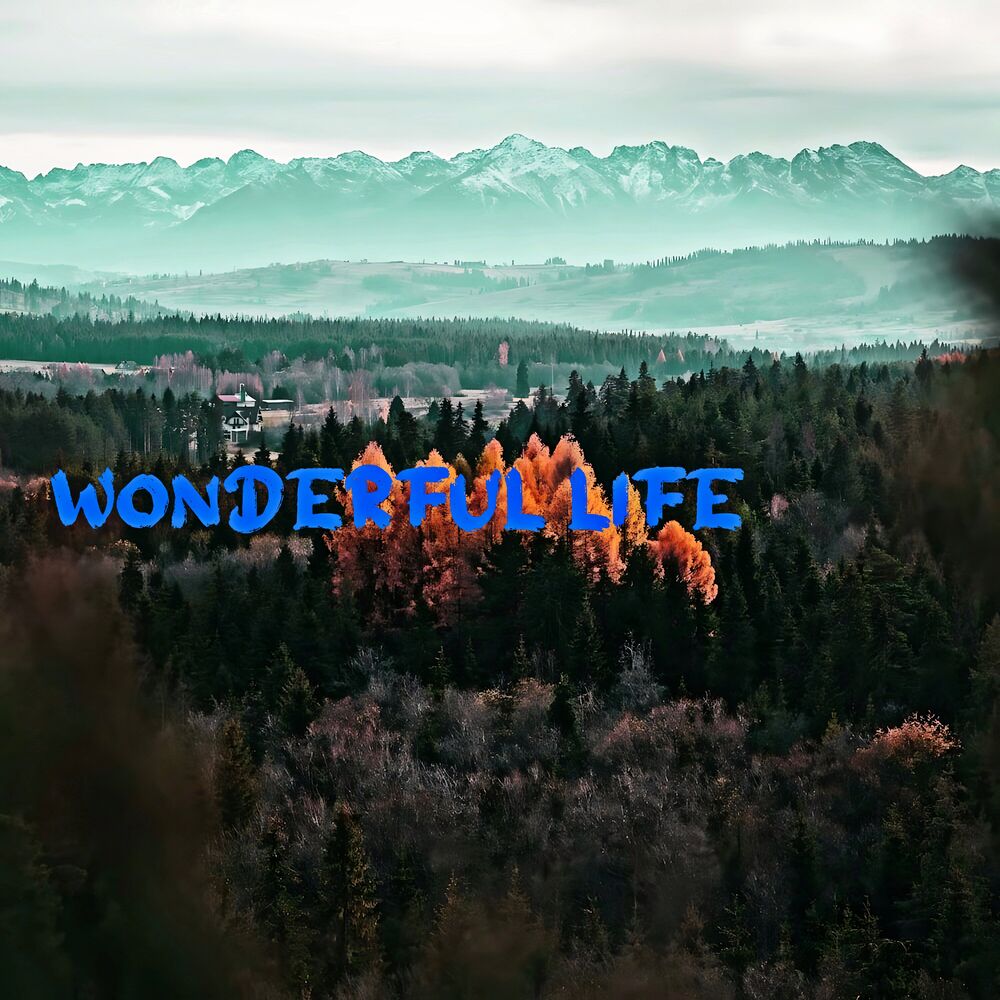 Picture of Wonderful Life