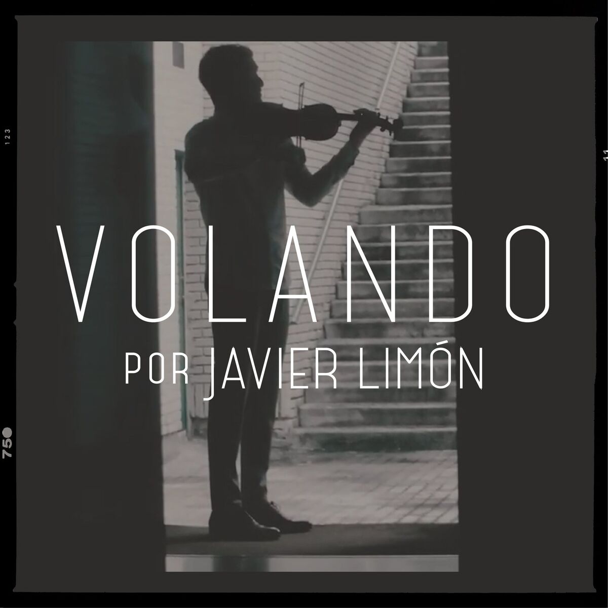Album cover of Volando