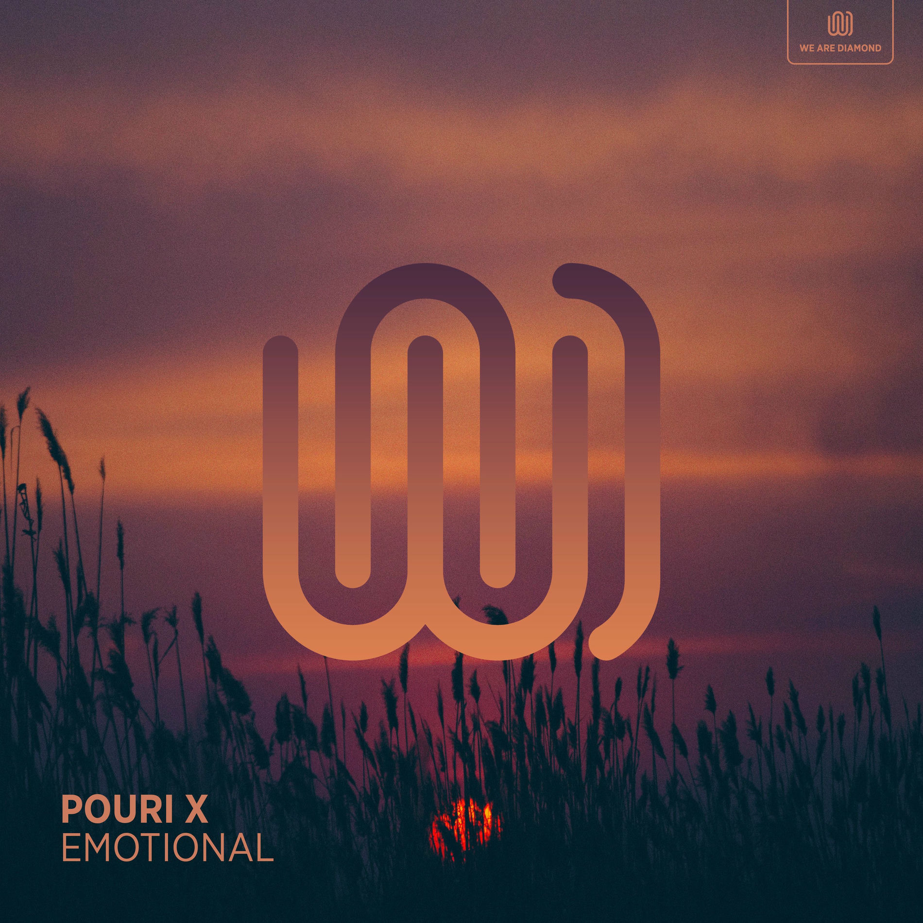 Album cover of Emotional