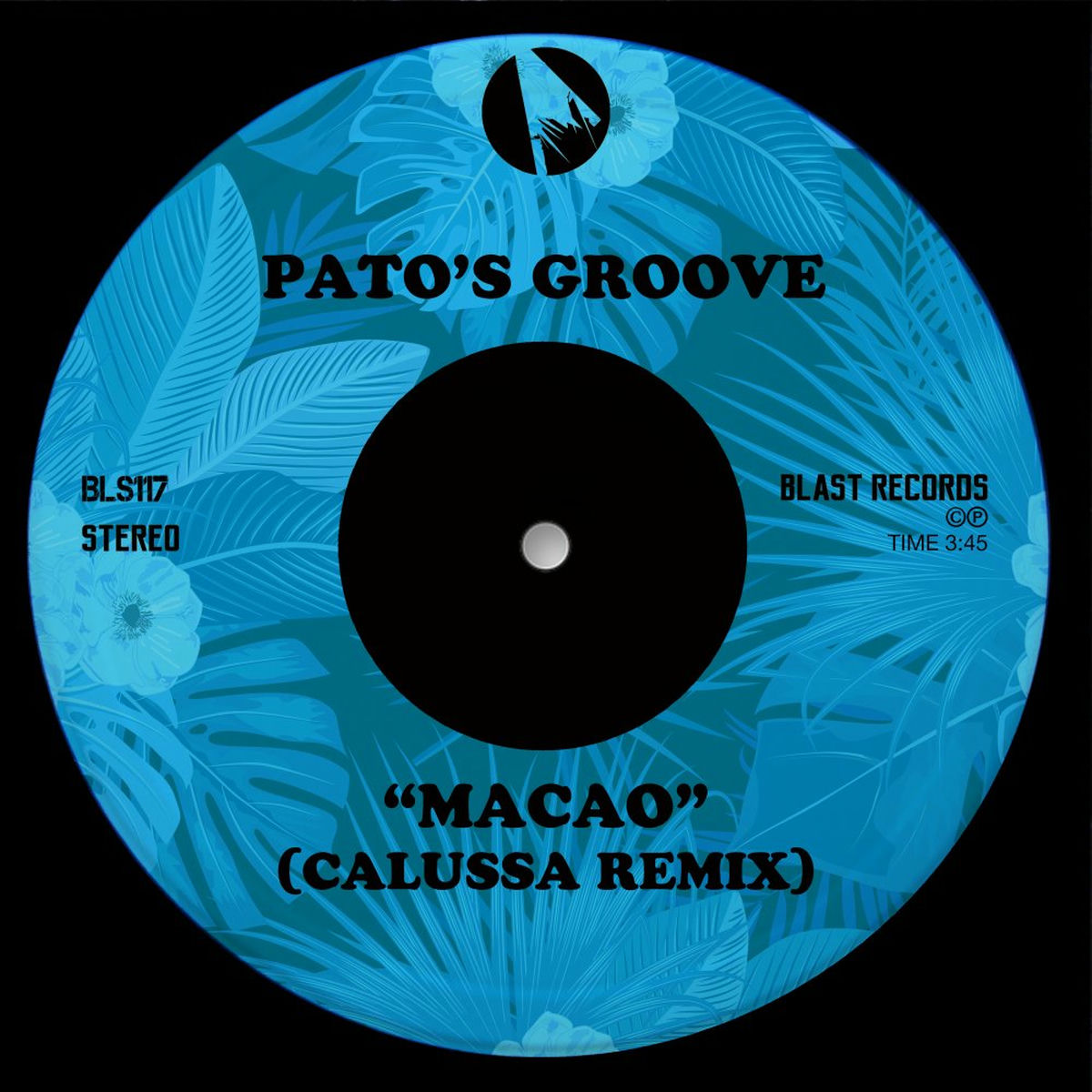 Album cover of Macao (Calussa Remix)
