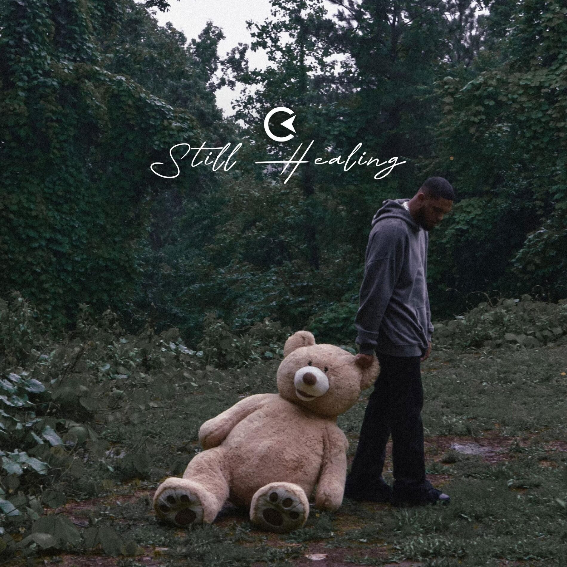 Album cover of Still Healing