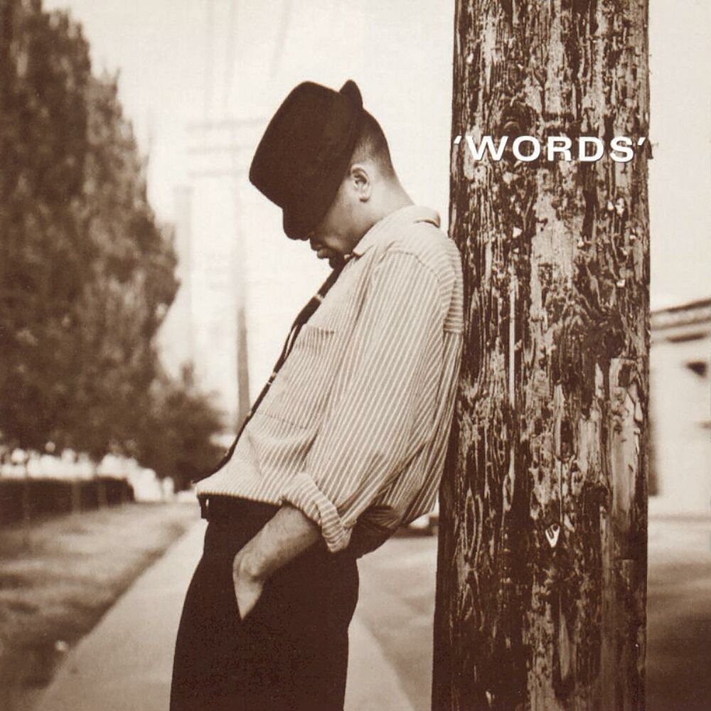 Picture of Words