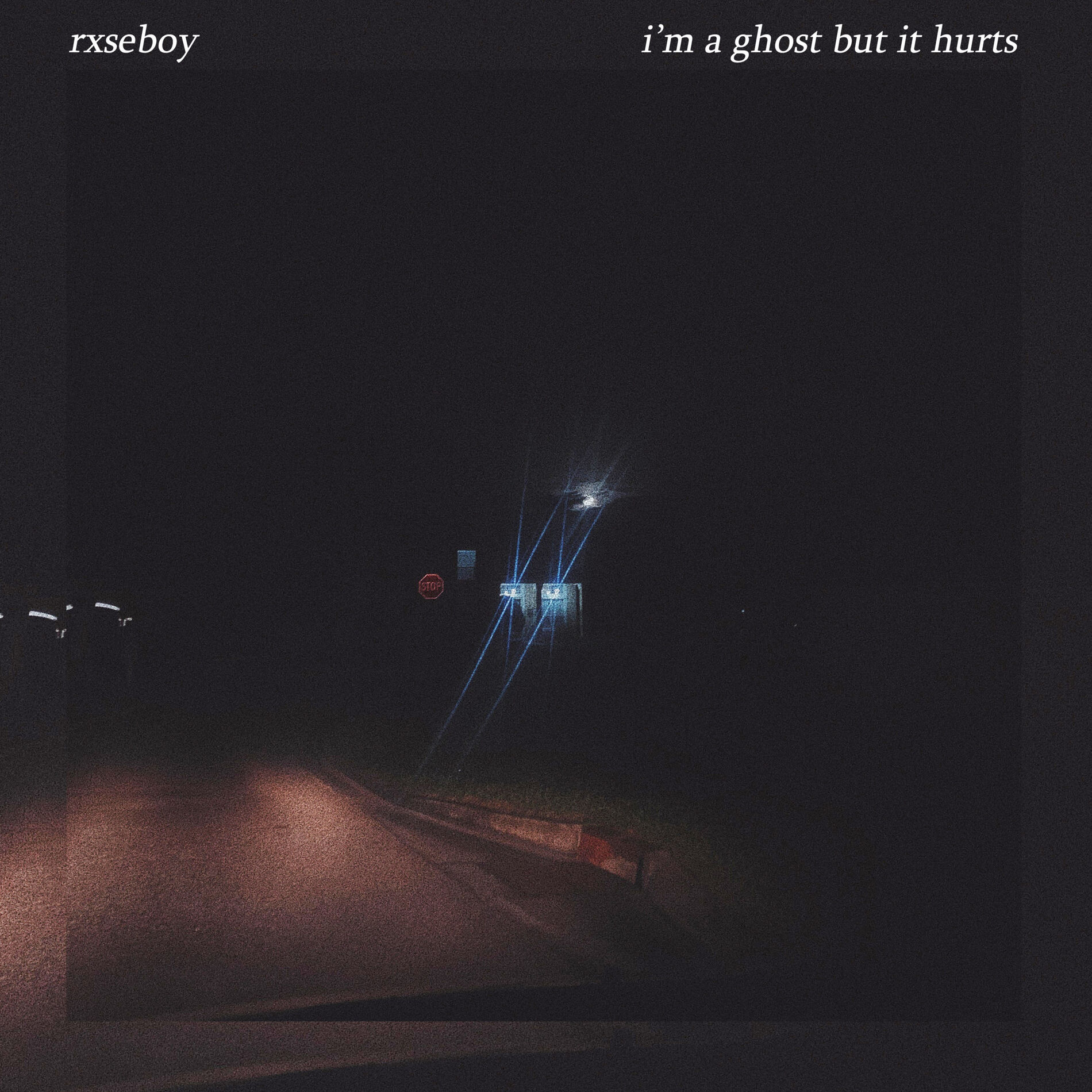 Album cover of i'm a ghost but it hurts