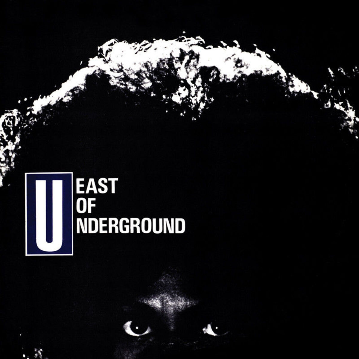Album cover of I Love You