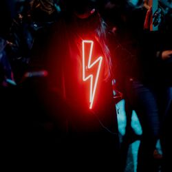 Cover of Love for the Night