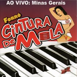 Ao Vivo: Minas Gerais