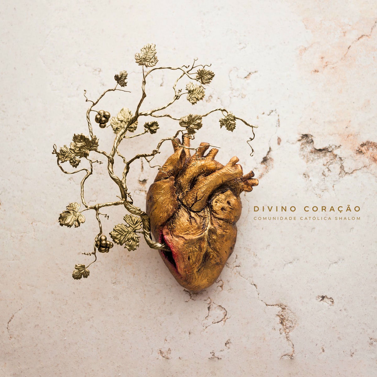 Album cover of A Tua Ternura