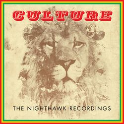 Cover of The Nighthawk Recordings