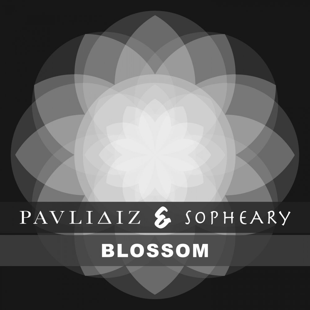 Picture of Blossom