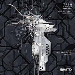 Cover of Kashmir
