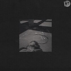 Cover of Moon Tourist