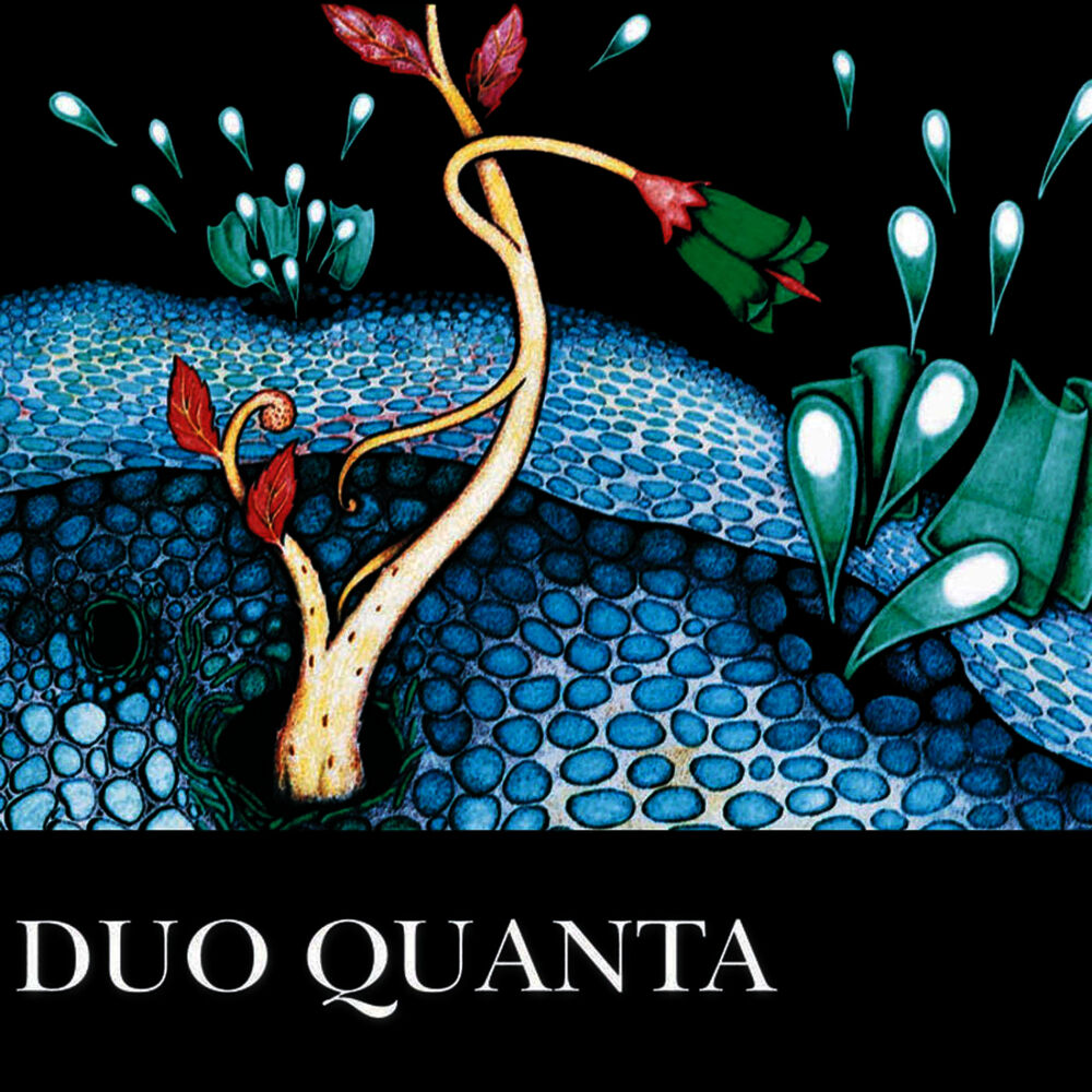 Picture of Duo Quanta