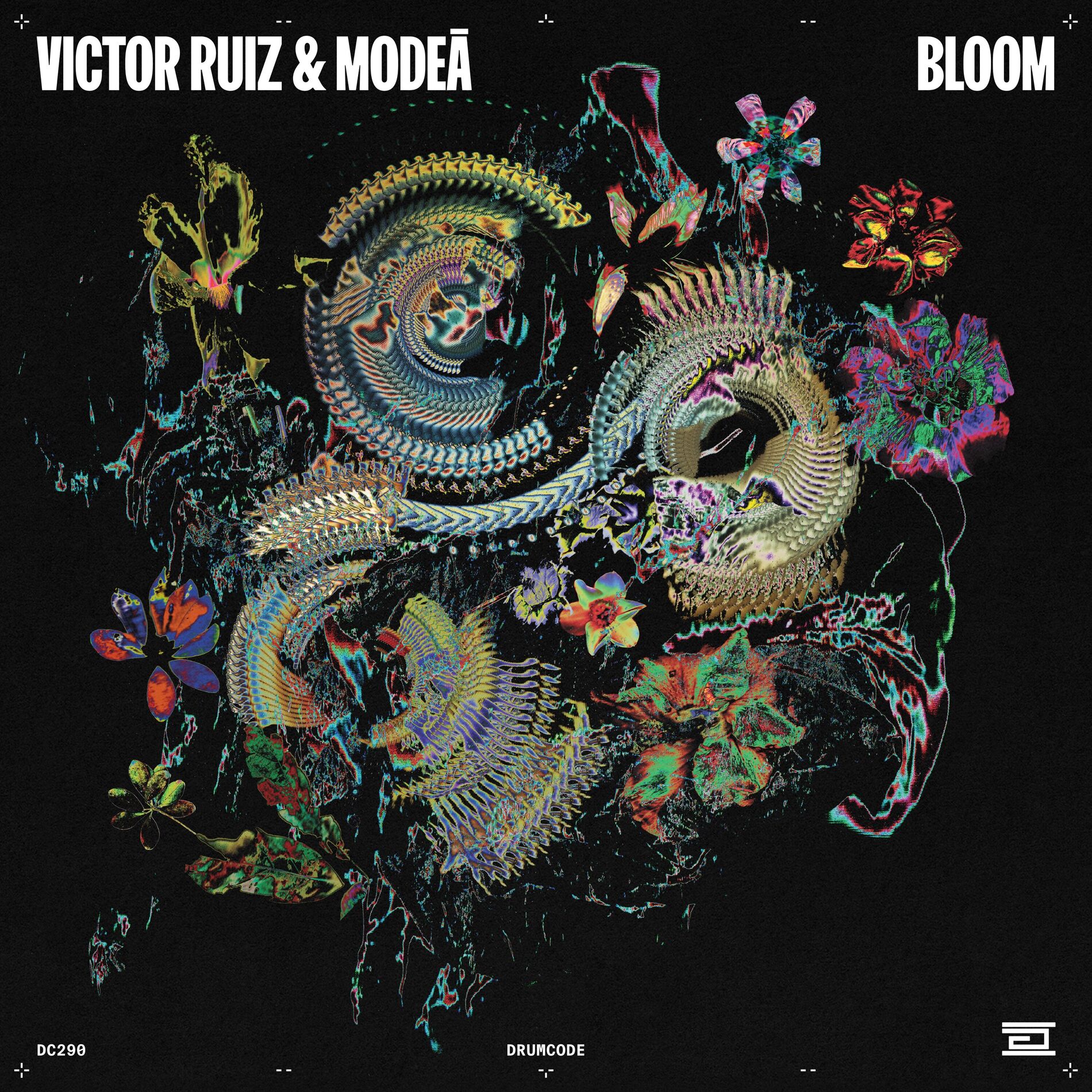 Album cover of Bloom