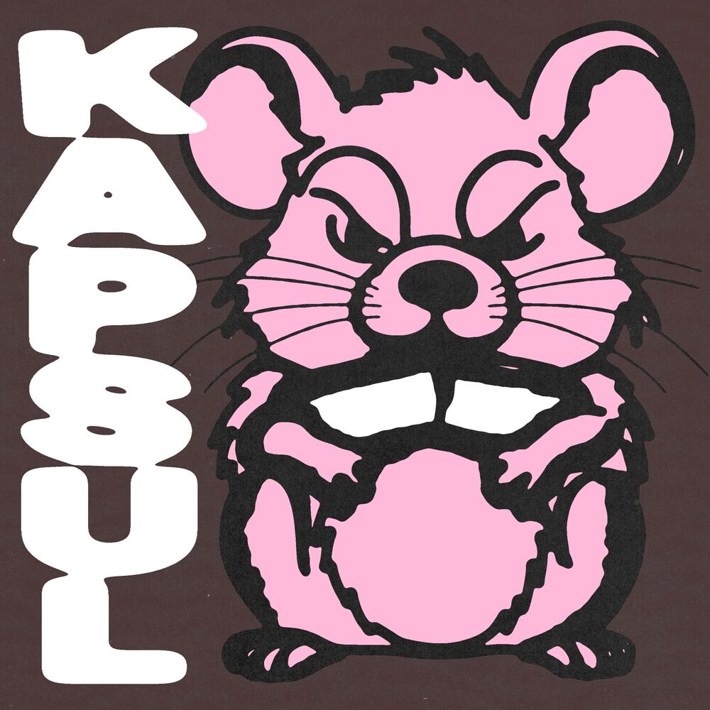 Picture of Rat