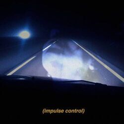 Cover of Impulse Control
