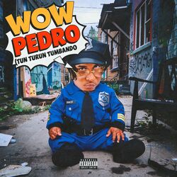 Cover of WOW PEDRO (Tun Turun Tumbando)