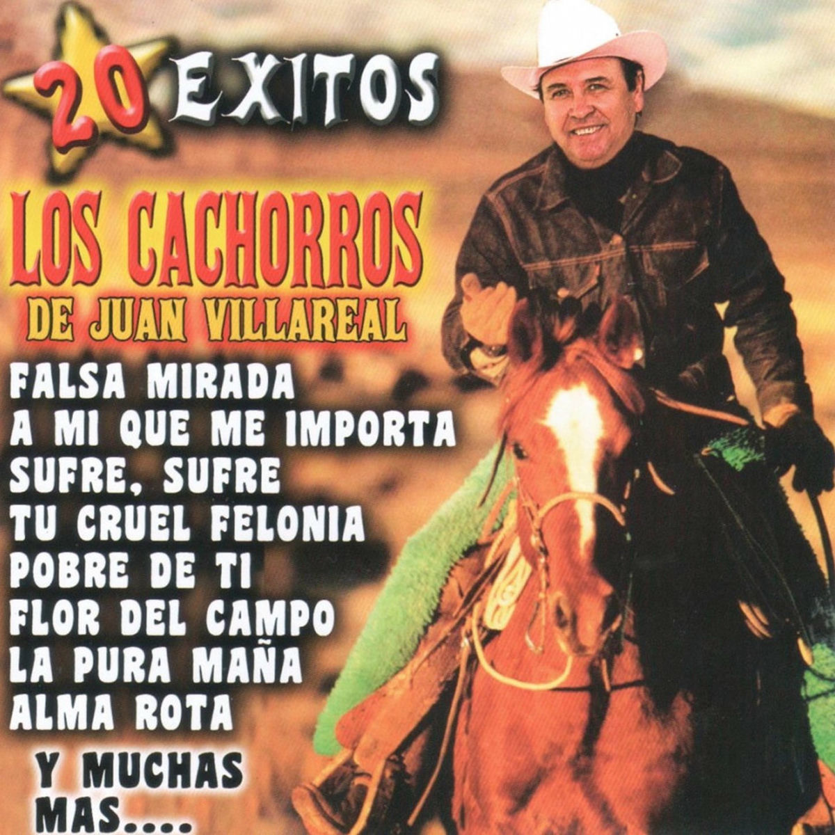 Album cover of 20 Exitos