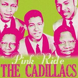 Cover of Pink Ride
