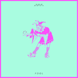 Cover of Fool