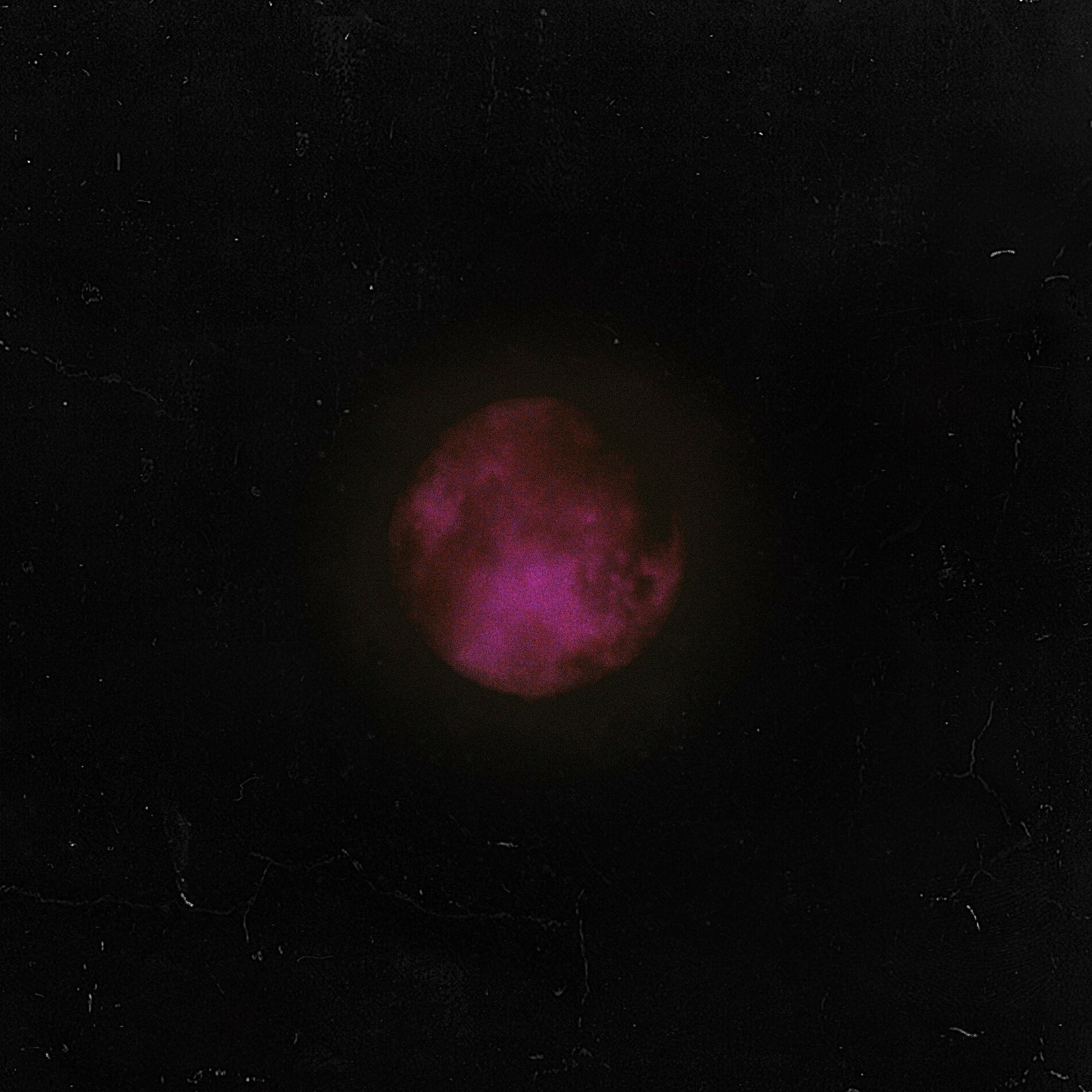 Album cover of Tonight
