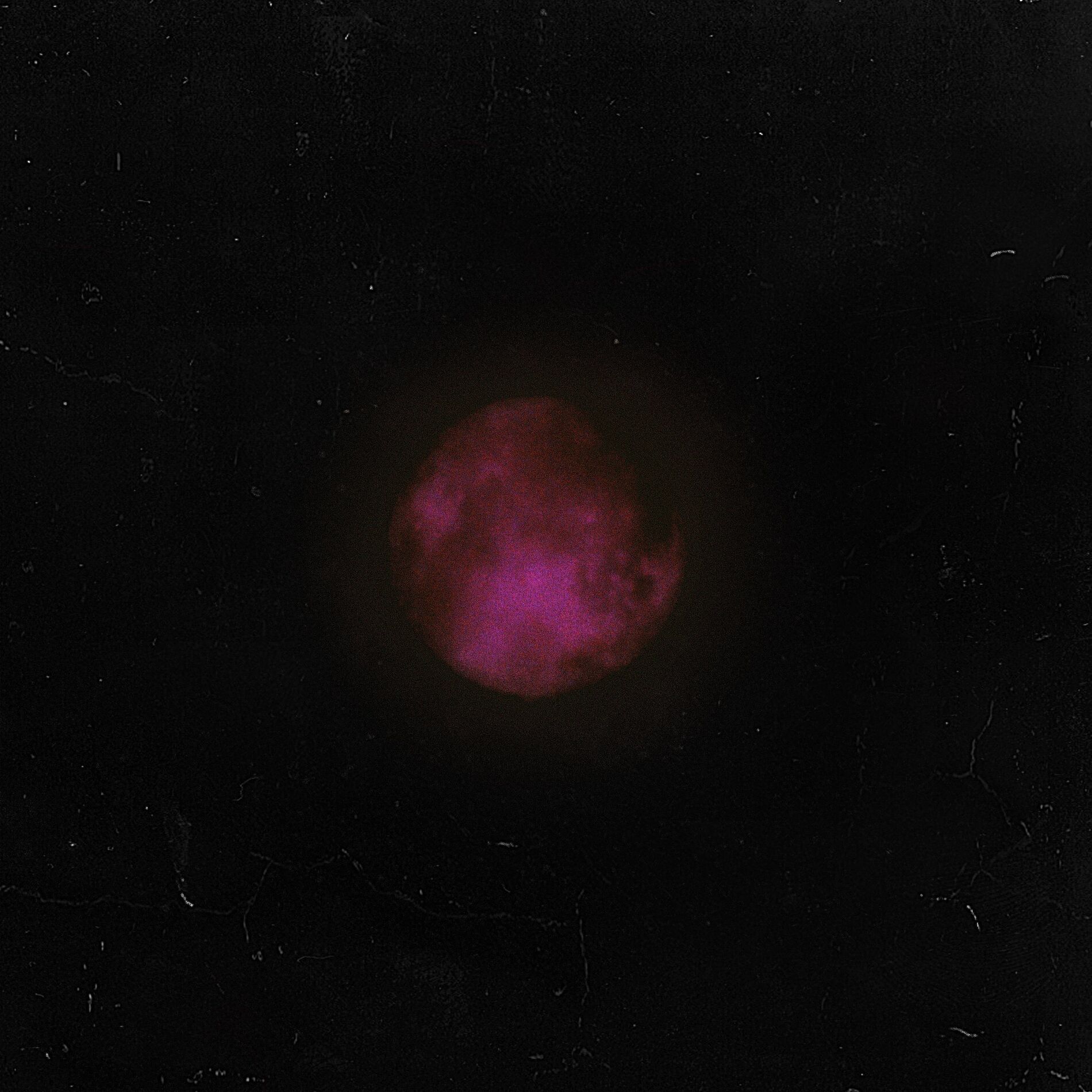 Album cover of Tonight