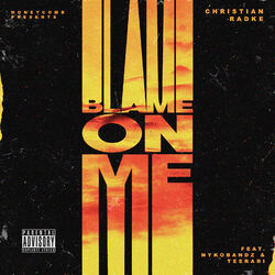 Cover of Blame on Me