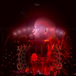 Cover of Concert Dubaï Expo 2020 (Live)
