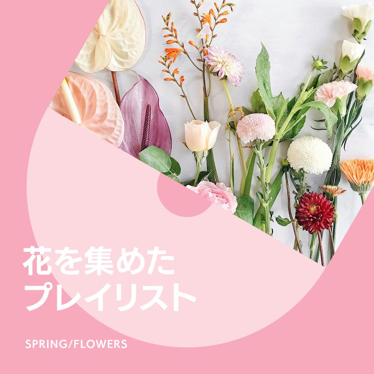 Album cover of Flower Songs for You
