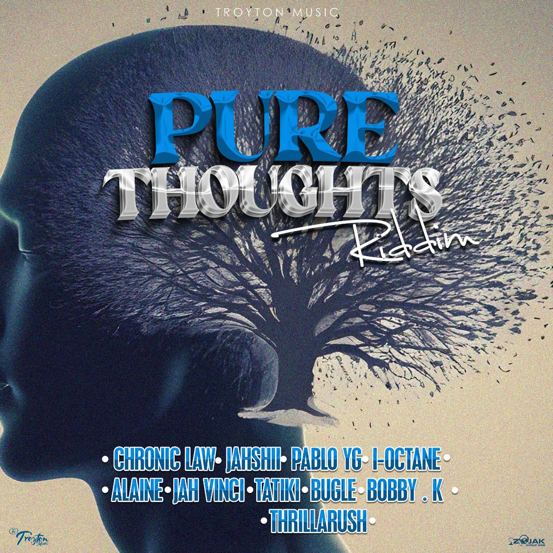 Album cover of Pure Thoughts Riddim