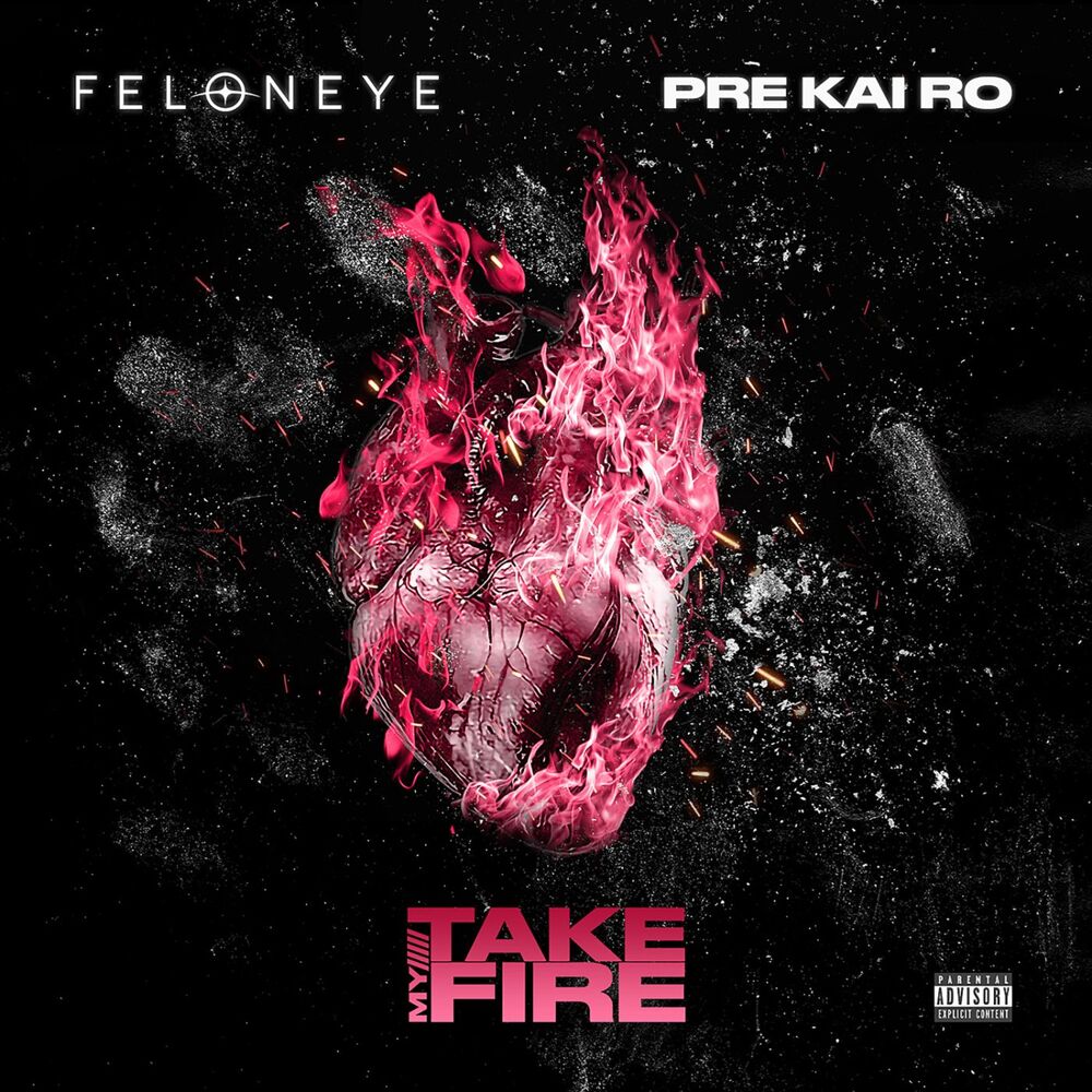 Picture of Take My Fire