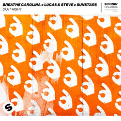 Cover of Do It Right