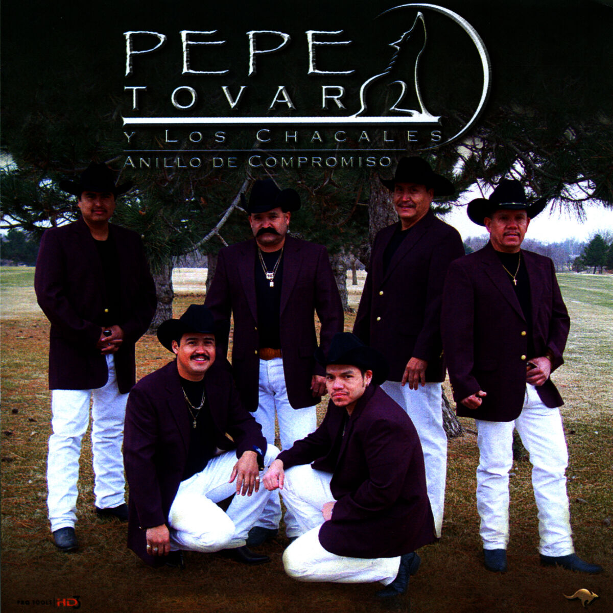 Album cover of Anillo De Compromiso