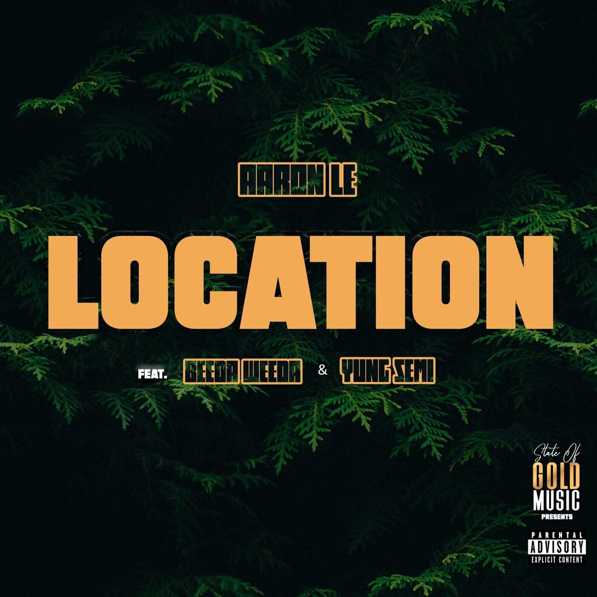Album cover of Location