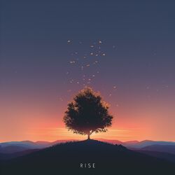 Cover of Rise