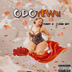 Cover of Odoyewu