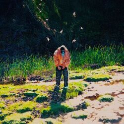Cover of SI NO TE VAS