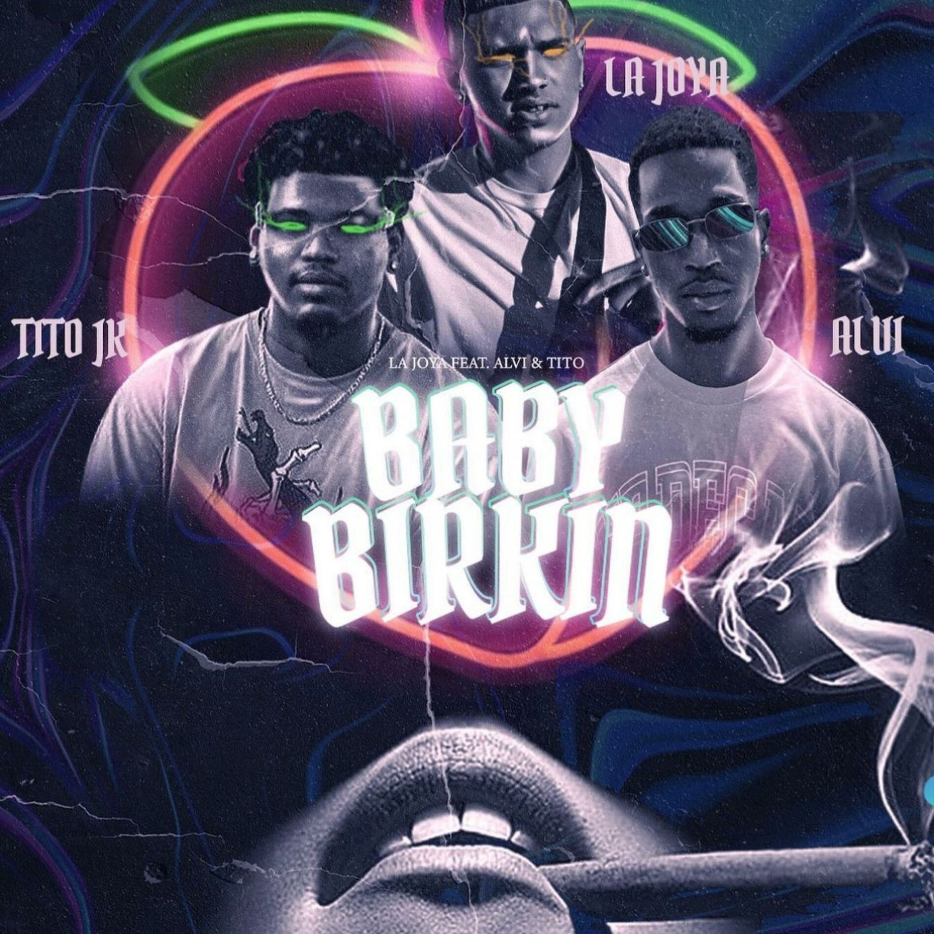 Album cover of Baby birkin (feat. Alvi & JkTito)