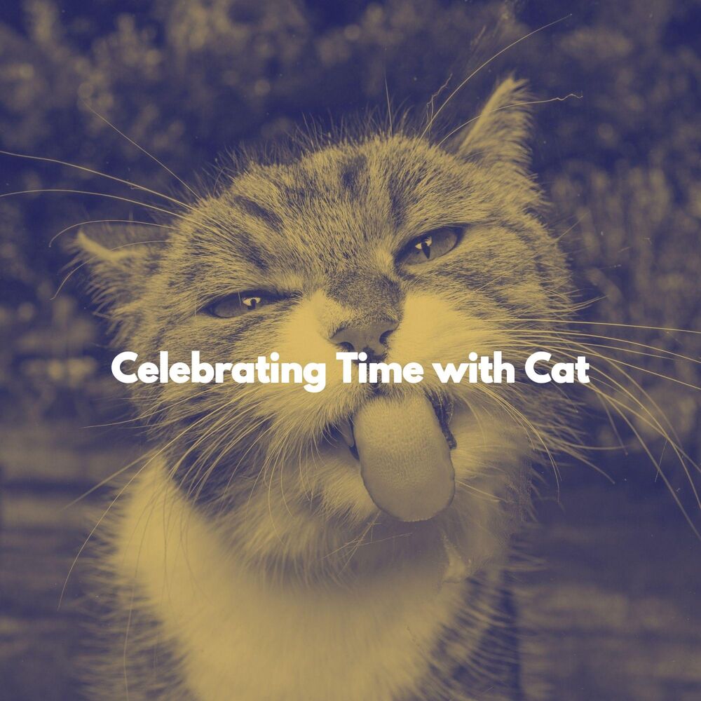 Picture of Celebrating Time with Cat