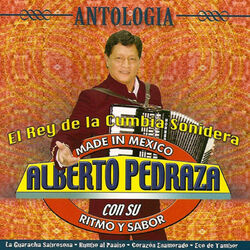 Cover of Antologia