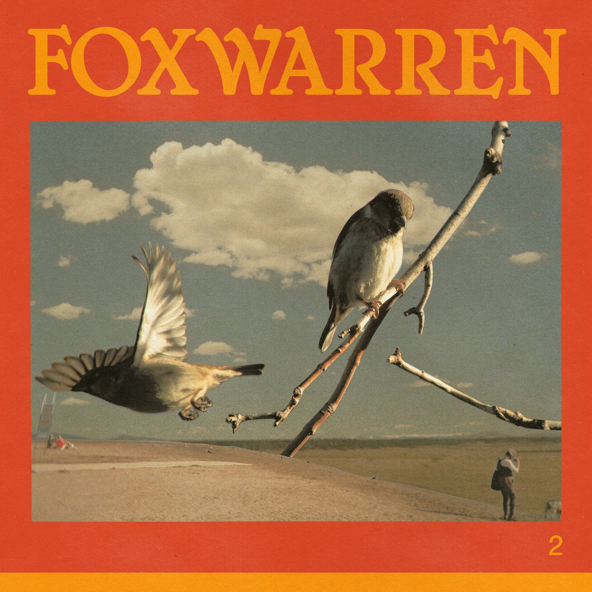 Album cover of Yvonne