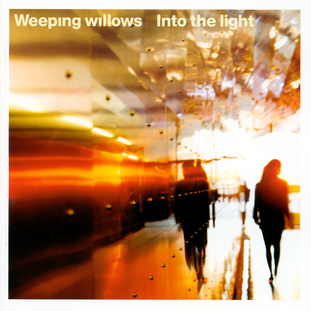 Picture of Into the Light