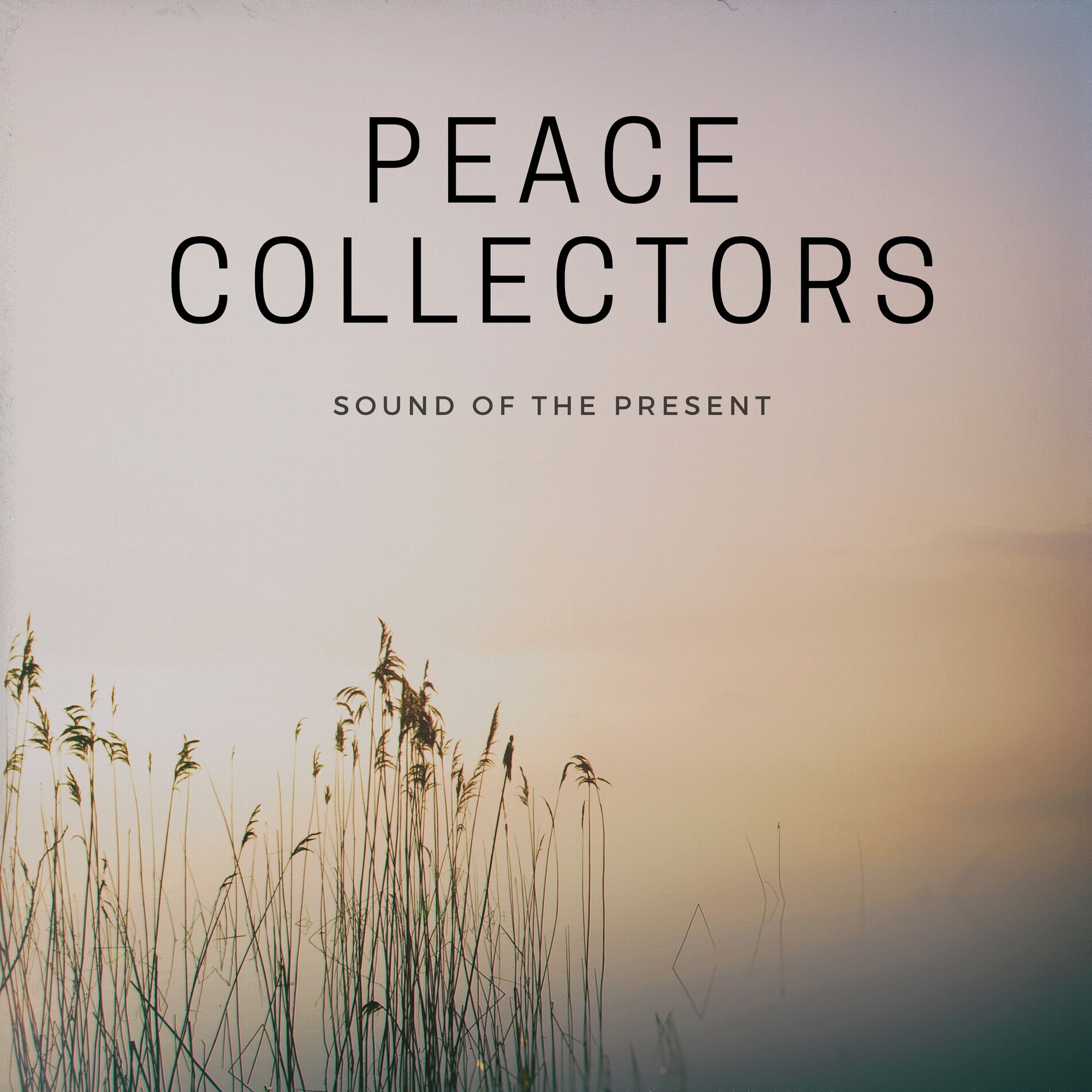 Album cover of Sound Of The Present