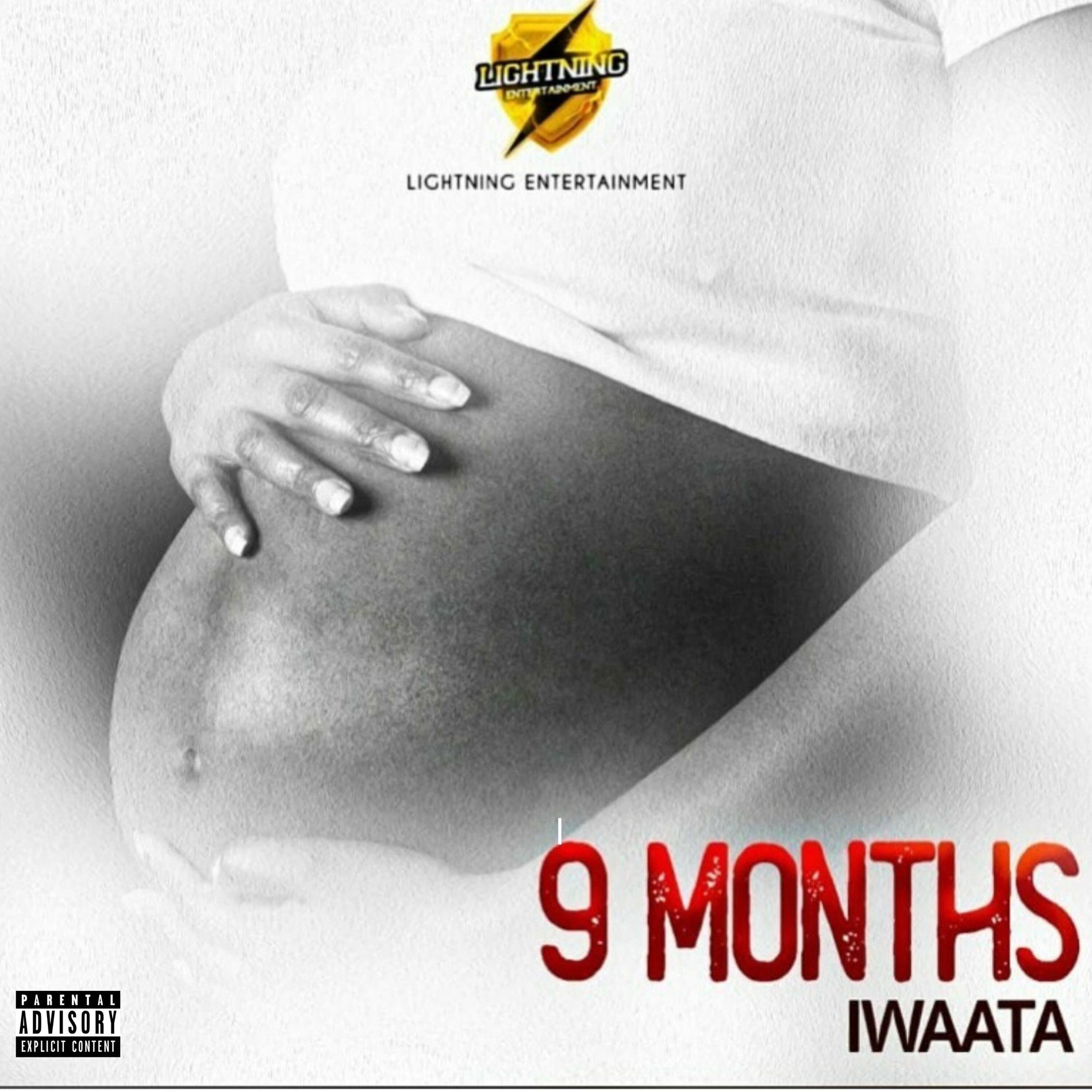 Album cover of 9 Months