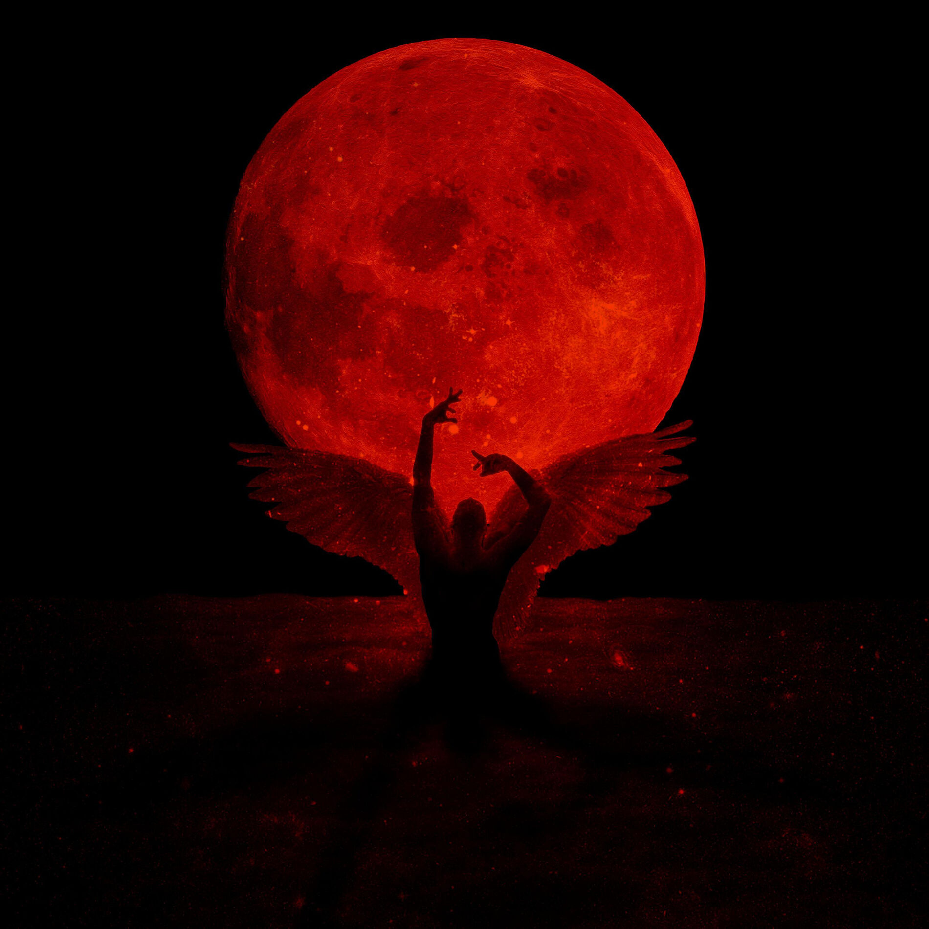 Album cover of Metamorphosis