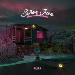 Cover of Señor Juez