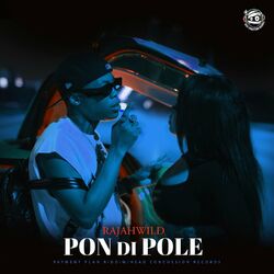 Cover of Pon Di Pole