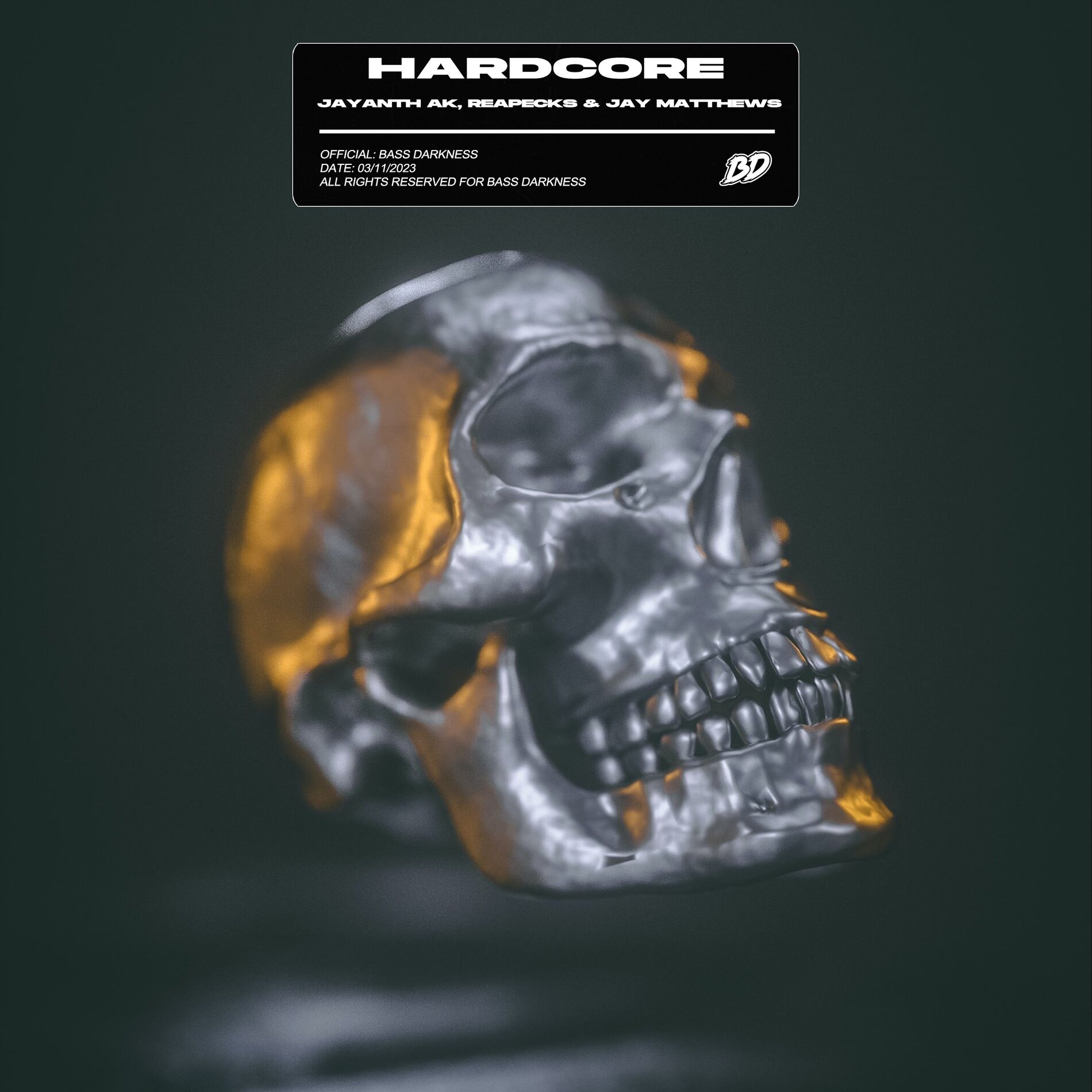 Album cover of Hardcore