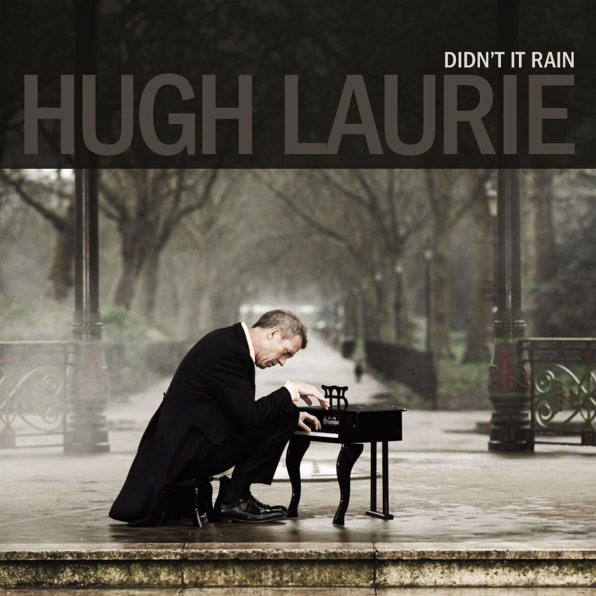 Album cover of Didn't It Rain