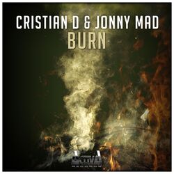 Cover of Burn
